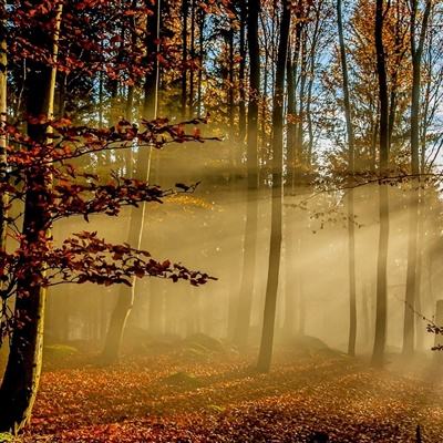 大发黄金版888下载下载手机版